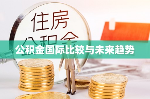 万里公积金国际比较与未来趋势