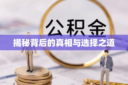 万里揭秘背后的真相与选择之道