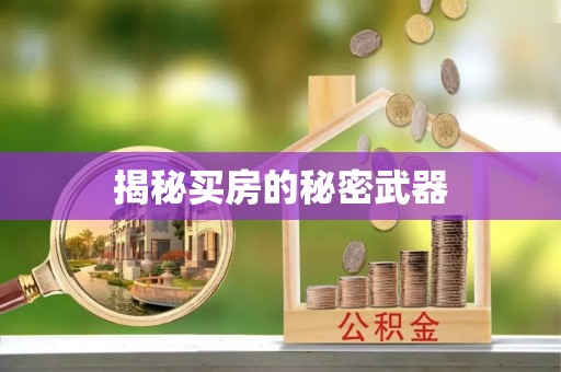 万里揭秘买房的秘密武器