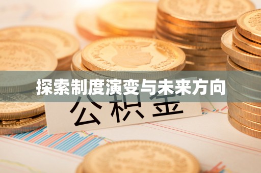 万里探索制度演变与未来方向