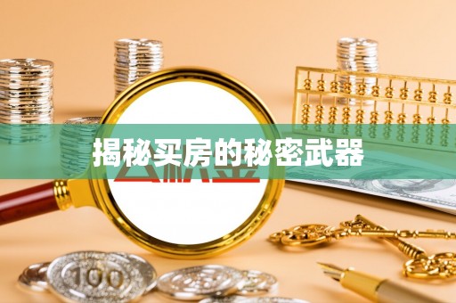 万里揭秘买房的秘密武器