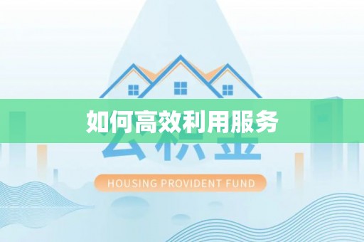 万里如何高效利用服务