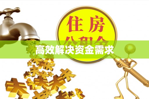 万里高效解决资金需求