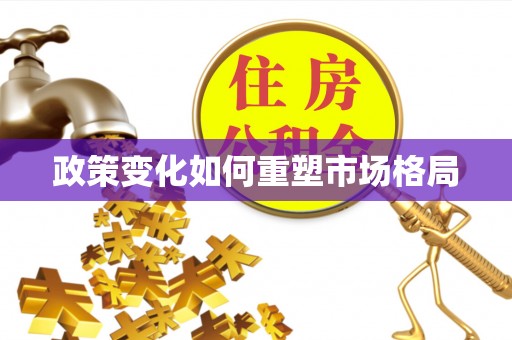 万里政策变化如何重塑市场格局