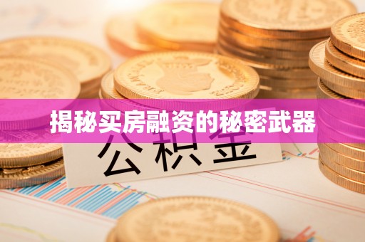 万里揭秘买房融资的秘密武器