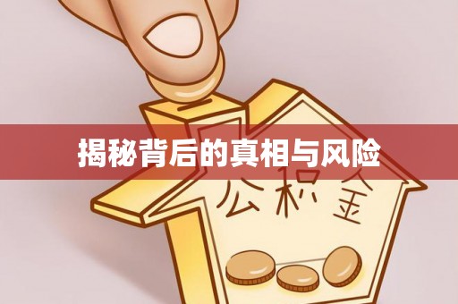 万里揭秘背后的真相与风险