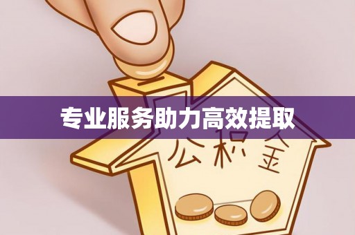 万里专业服务助力高效提取