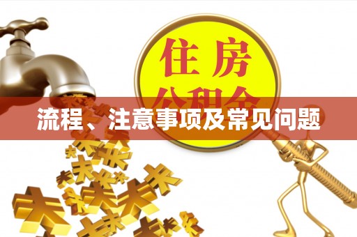万里流程、注意事项及常见问题