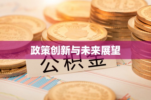 万里政策创新与未来展望