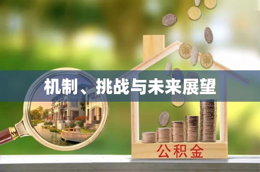万里机制、挑战与未来展望
